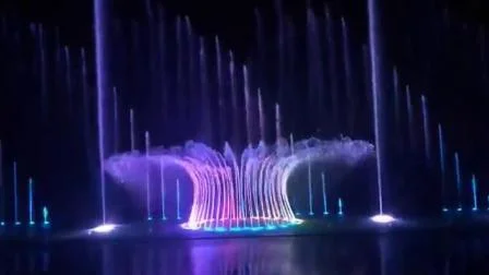 Fontaine flottante de musique de LED de décoration extérieure de lac de fabricant de la Chine